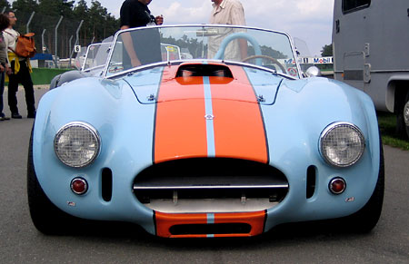 cobra_01.jpg
